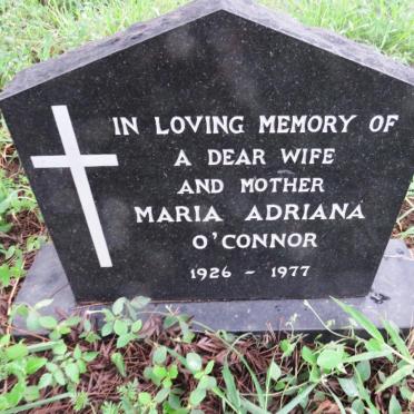 O'CONNOR Maria Adriana 1926-1977