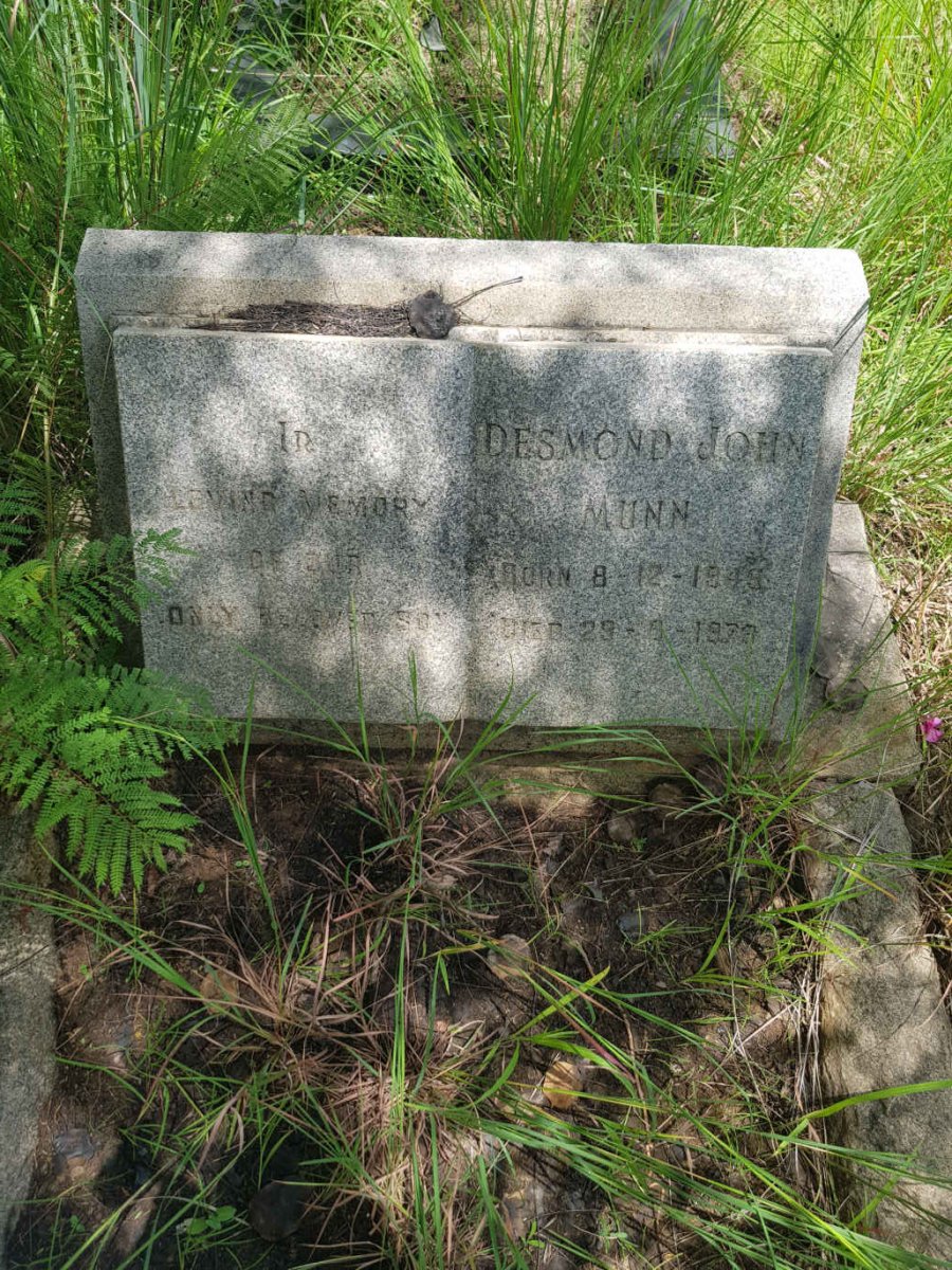 MUNN Desmond John 1945-197?