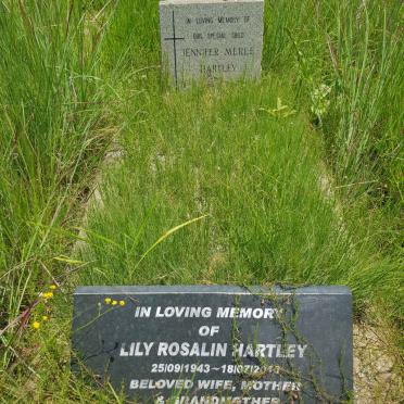 HARTLEY Lily Rosalin 1943-201? :: HARTLEY Jennifer Merle