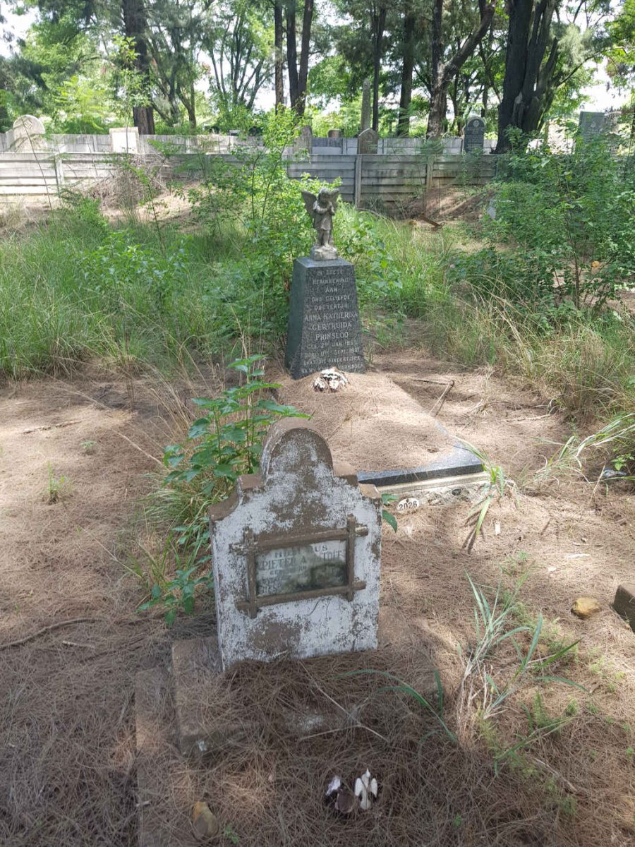 TOIT Pieter A., du :: PRINSLOO Anna Katherina Gertruida 1961-1961