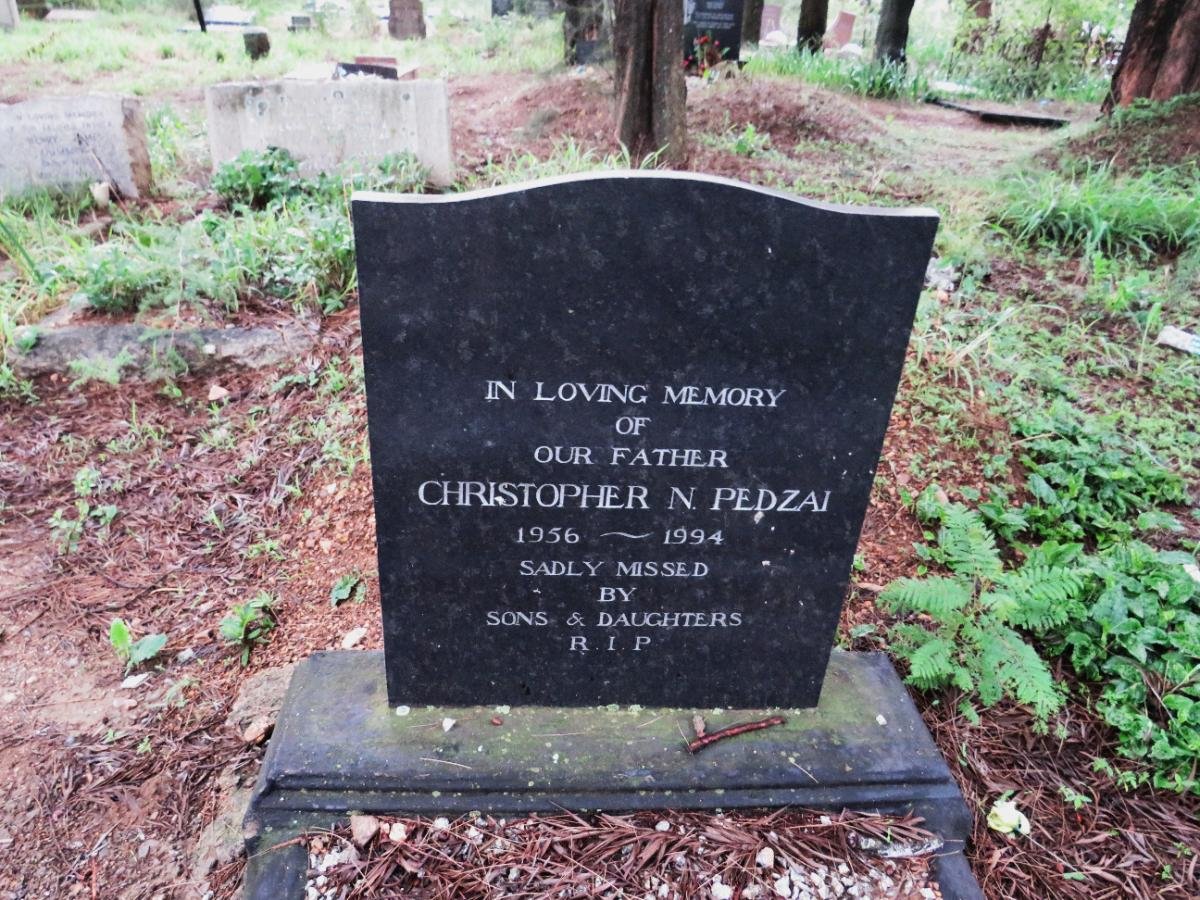 PEDZAI Christopher N. 1956-1994