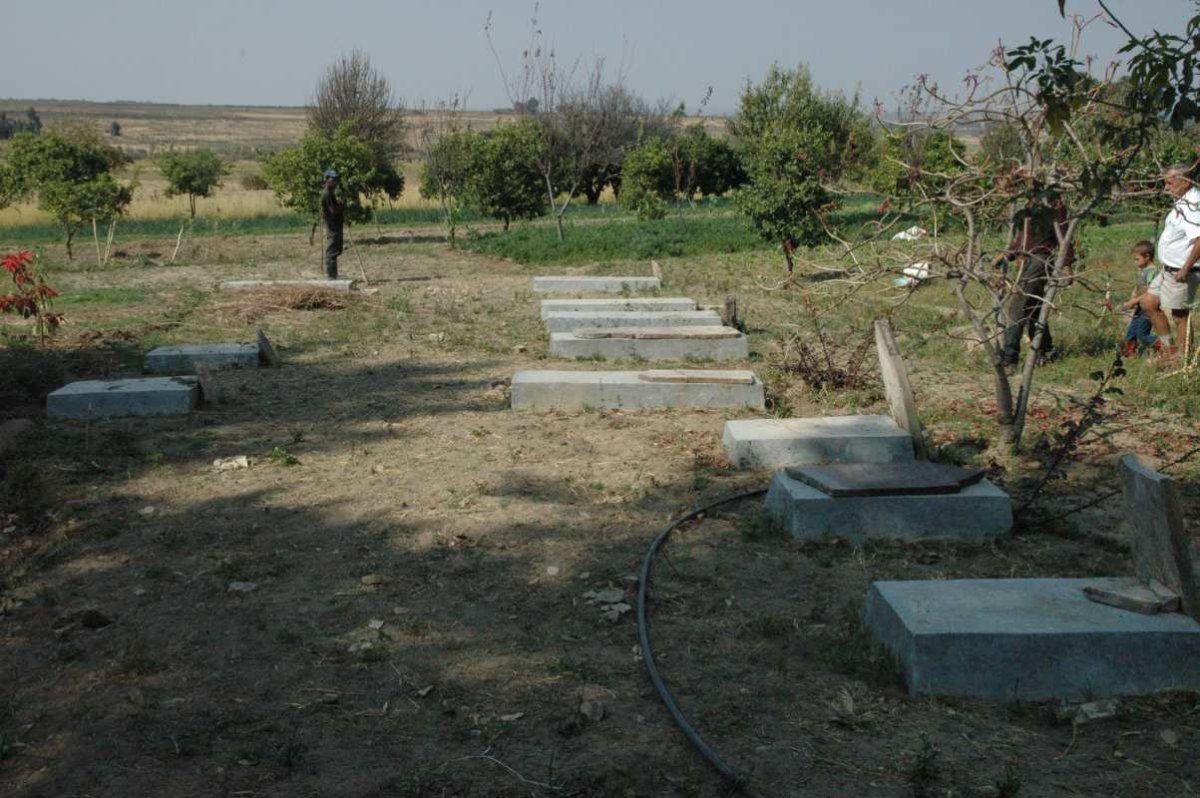 1. Overview
