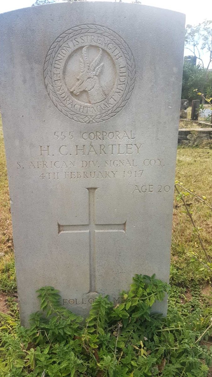HARTLEY H.C. -1917