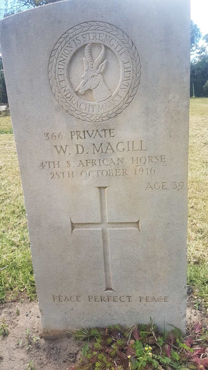 MAGILL W.D. -1916